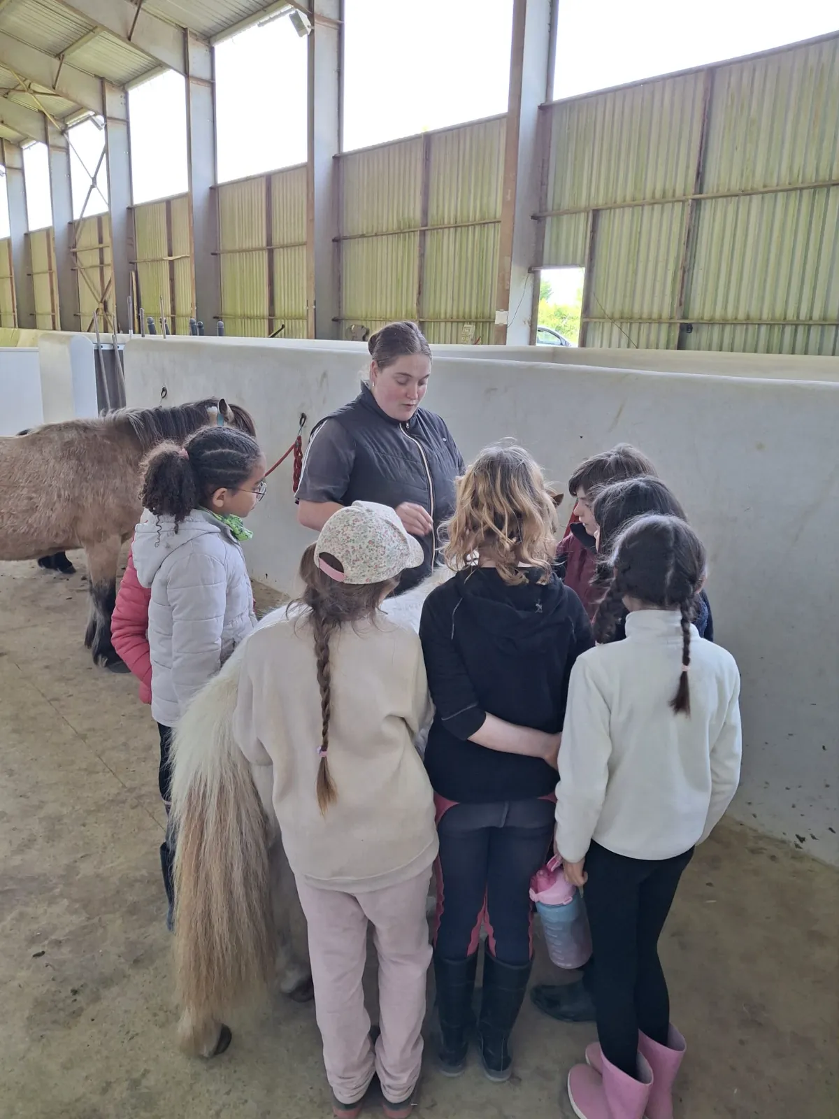 pédagogie équitation, respect cheval, cours équitation Vendée