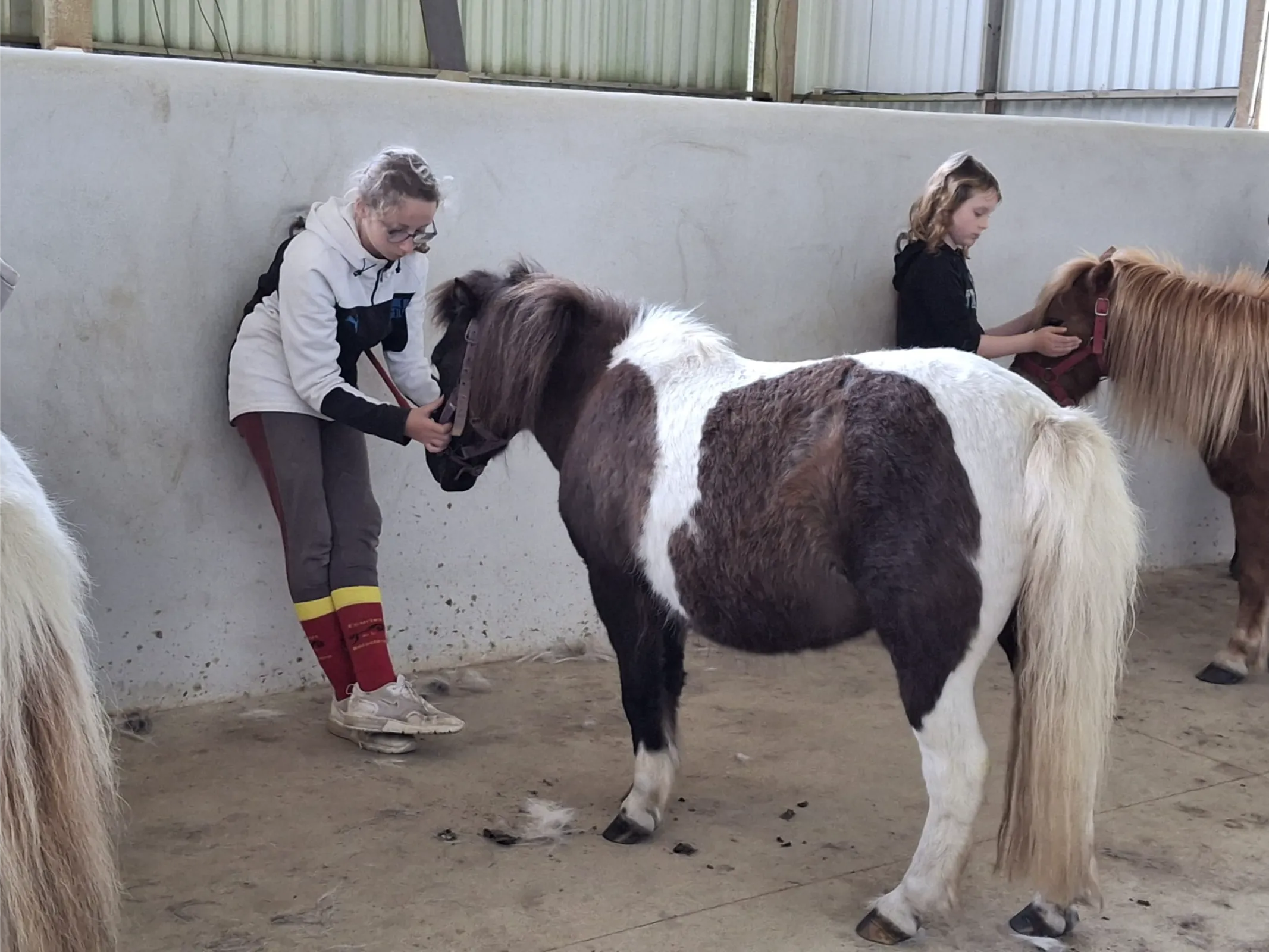 enfants s'occupant des poneys, centre équestre vendée
