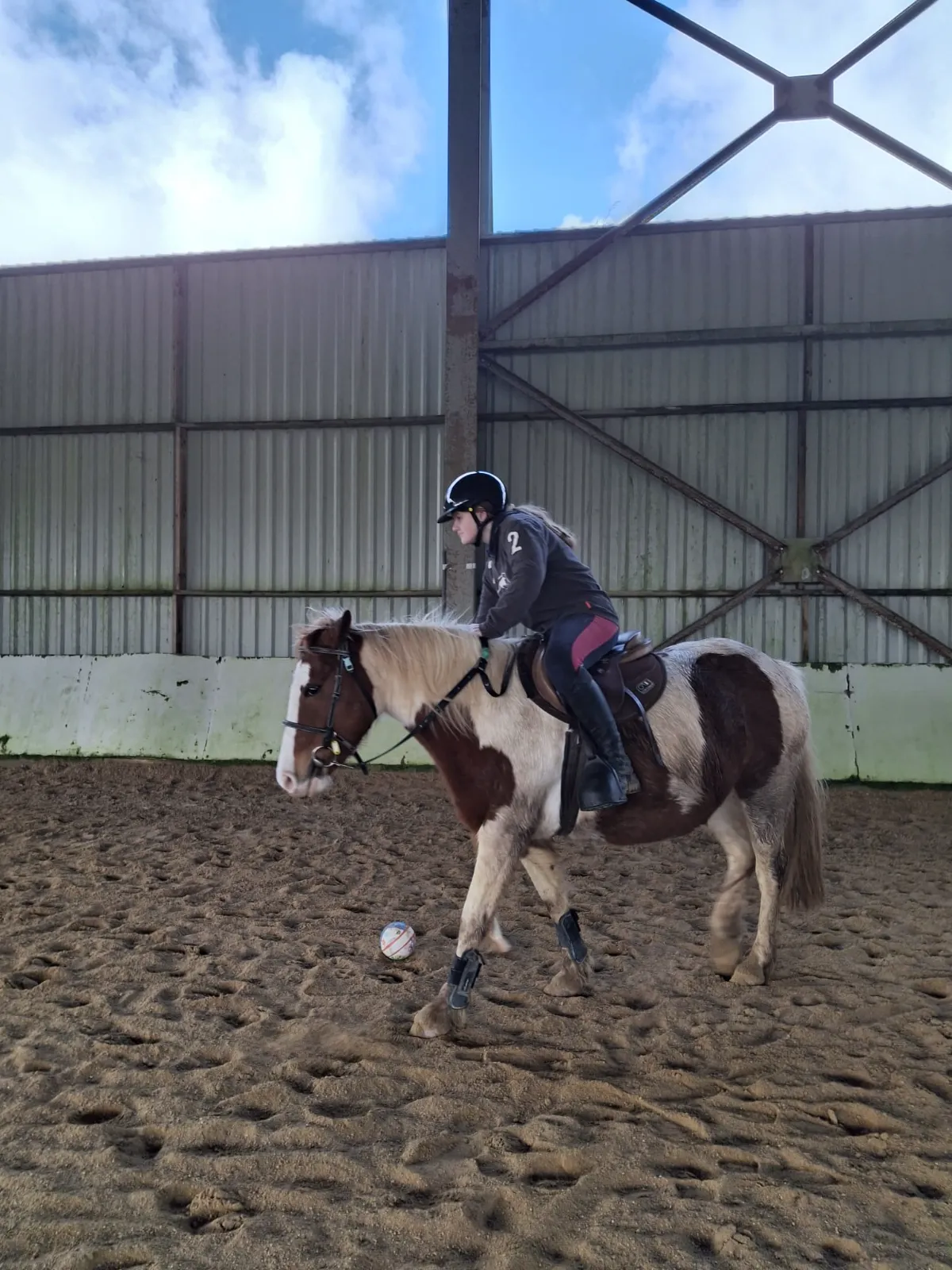 Cours adultes en manège, travail sur la direction et la mise en avant, dans une atmosphère calme.