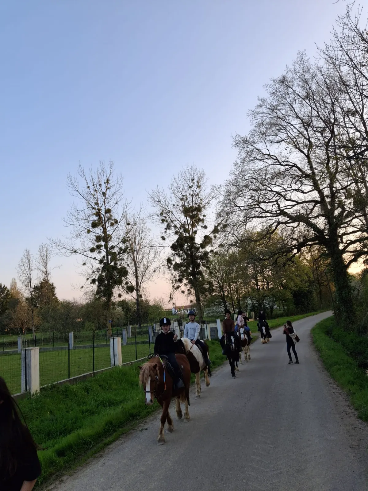 Sortie randonnée encadrée