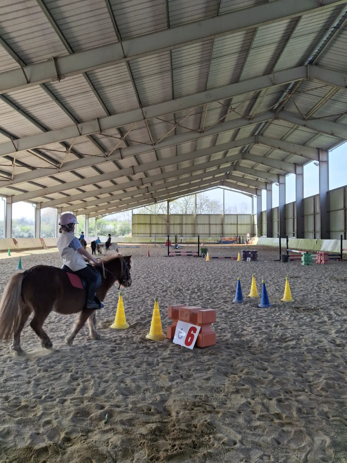 Enfants en reprise poney, exercices simples en carrière, avec un encadrement attentif.