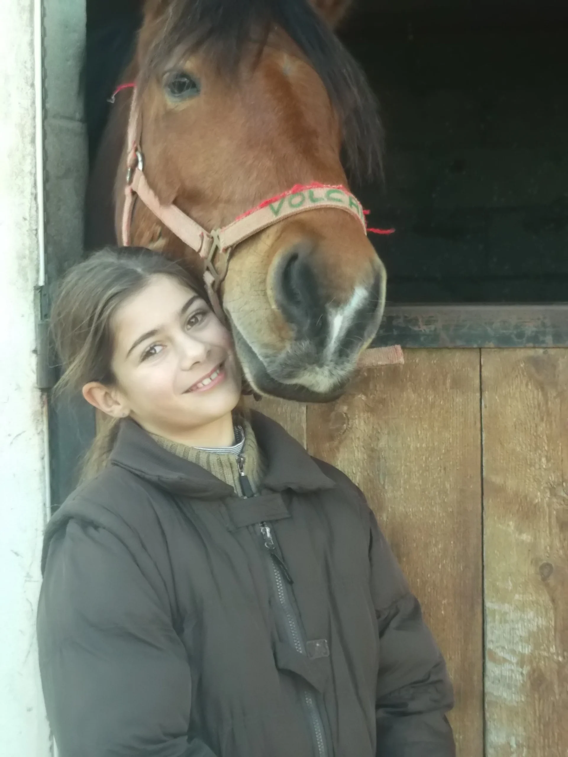 enfant avec un cheval, centre équestre Vendée